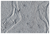 Ridges and Polygonal Terrain in Elysium Planitia