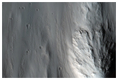 Block along the Northern Margin of Olympus Mons