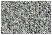 Candidate New Impact Site Formed between April 2004 and May 2006