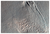 Gullies with Possible Bright Deposits