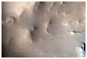 Well-Preserved 15-Kilometer Diameter Crater on Elysium Mons