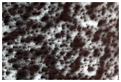 Dusty Cryptic Terrain