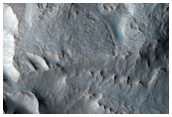 Flow Structures in Noctis Region Trough