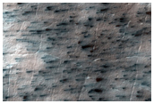 Fans on Layers in the South Polar Cap