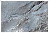 Giant Gullies in the Hellas Montes