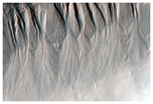 Possibly Active Gullies
