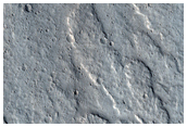 Candidate New Impact Site Formed between February 2010 and October 2010