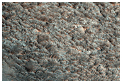 Margin of Large Olivine-Bearing Plains in Tyrrhena Terra