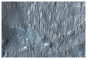 South-Facing Slope of Crater