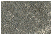 Circular Features in Western Elysium Planitia