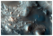 Well-Preserved 12-Kilometer Diameter Crater inside Madler Crater