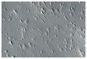 Candidate New Impact Formed between July 2006 and January 2010