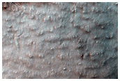 Seasonal Changes at a South Polar Cracked and Gullied Site