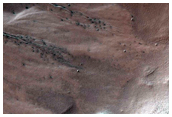 Frosted Polar Pit Gullies