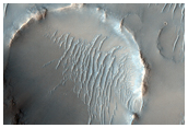 Evros Vallis and Nearby Craters