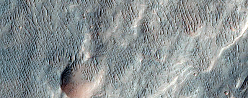 Possible MSL Landing Site in Holden Crater