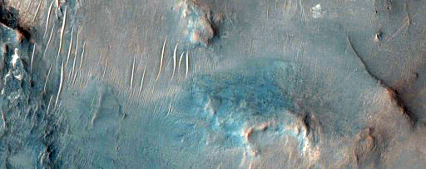 Syrtis Major, il fondo di un cratere ricoperto di idrati e megabreccia nella cavit centrale