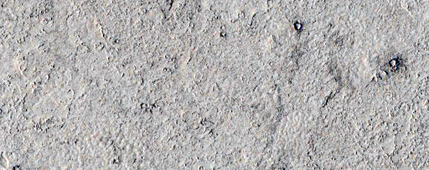 Lava Flows in Elysium Planitia