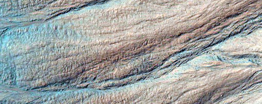 Gullies in Southern Hemisphere Crater