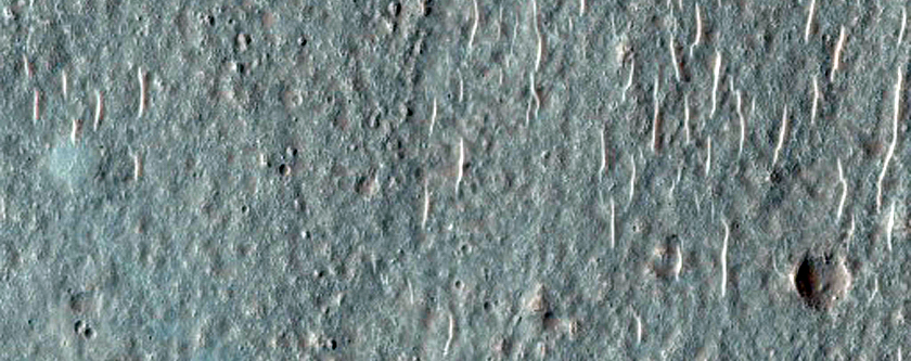 Possible Pingos on Floor of Small Craters