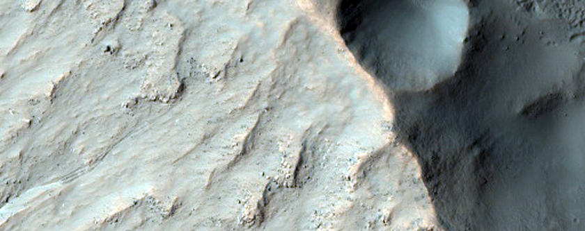 Gullies in Pole-Facing Slopes of Crater