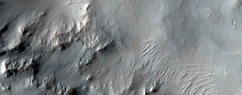 Well-Preserved 15-Kilometer Crater with Gullies and Pitted Ponded Material