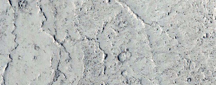 Embayed Crater in Elysium Planitia