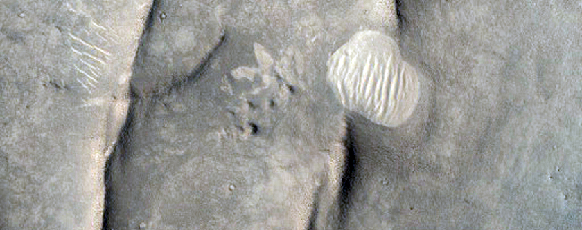 Ridges on Crater Floor in Nilosyrtis Region