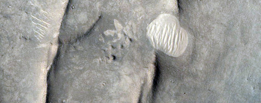 Ridges on Crater Floor in Nilosyrtis Region