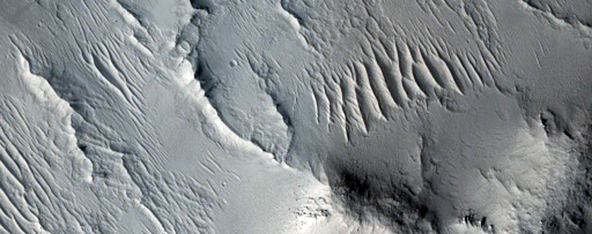 Central Hills of Lockyer Crater