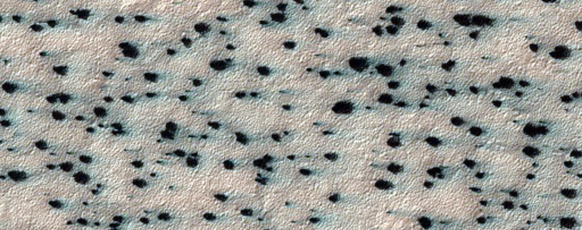 Fans in Clusters
