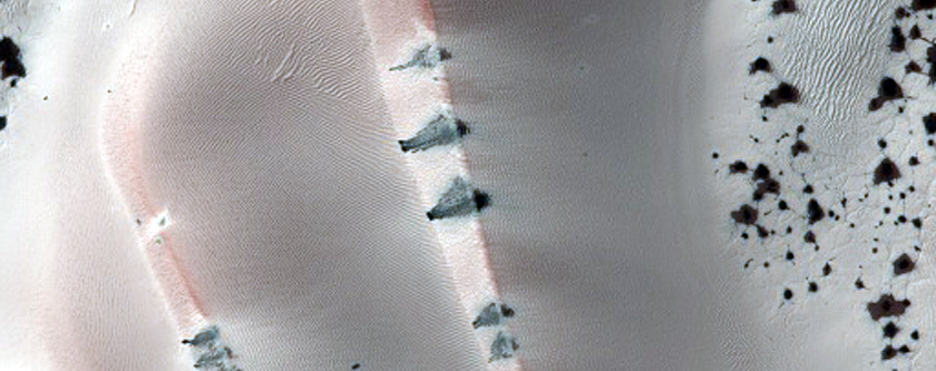 Monitoraggio le variazioni dei campi di dune nel Cratere Richardson