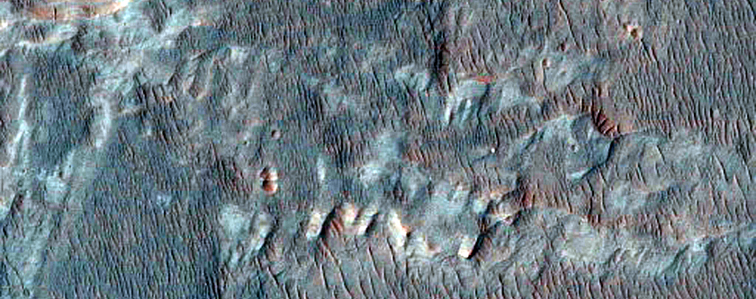Possible MSL Landing Site Holden Crater