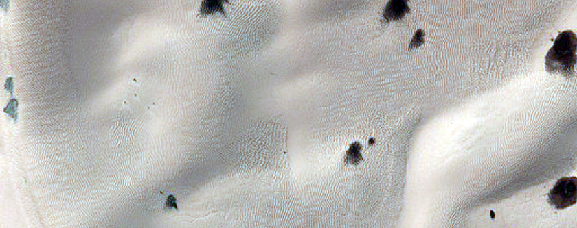 Eastern Edge of the Richardson Crater Dune Field