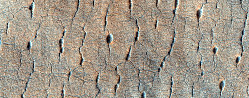 Kis, kör alakú világos tónusú terület az Utopia Planitia síkságon