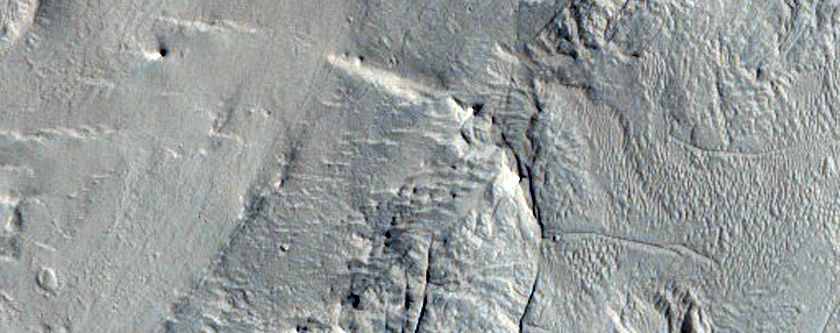 Estrats sedimentaris plegats