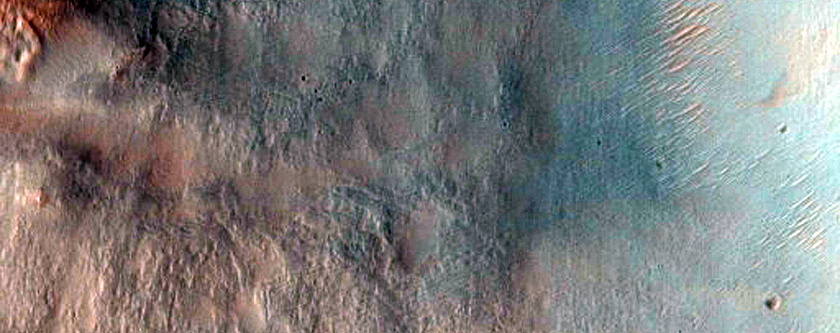 Iron-Magnesium Phyllosilicates on Gullied Crater