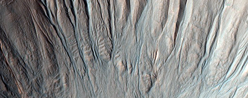 Light-Toned Gully Feature or Mass Movement