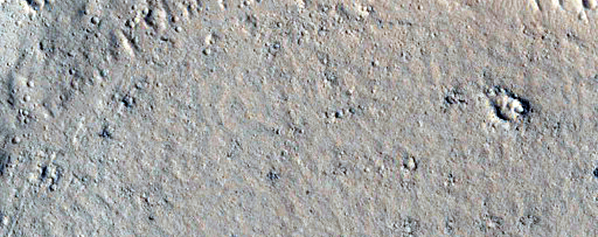 Hills in Elysium Planitia Embayed by Lava