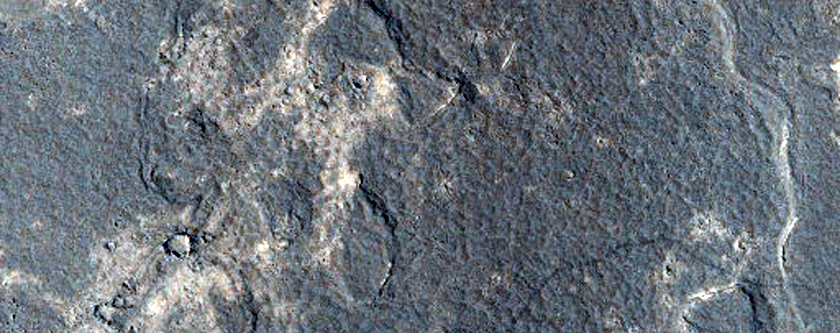 Various Terrains in Southwestern Elysium Planitia