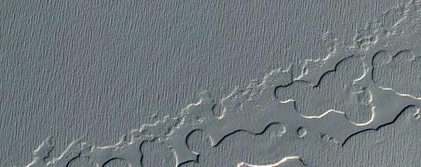 South Polar Residual Cap Monitoring - Scarp Backwasting 