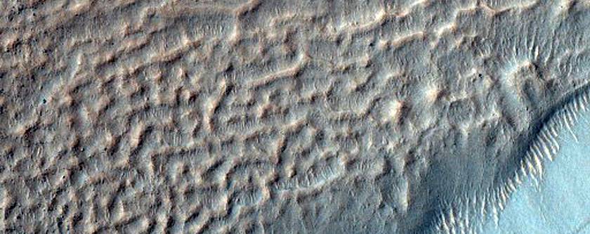 Gullied Crater Wall Seen in MOC Image R08-02030