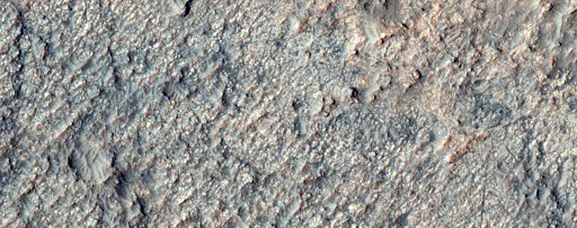 Remnant of Unusual Looking Material on Plains