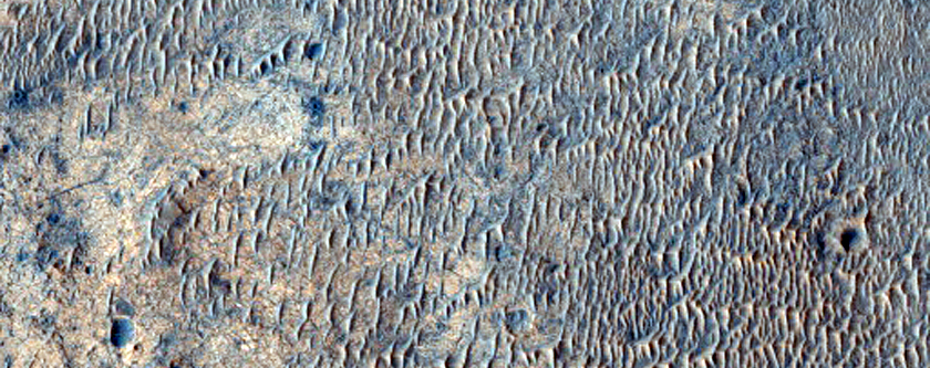 Possible Clays and Chlorides near the Meridiani Region