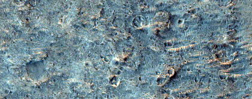 Phyllosilicates in Small Crater Ejecta