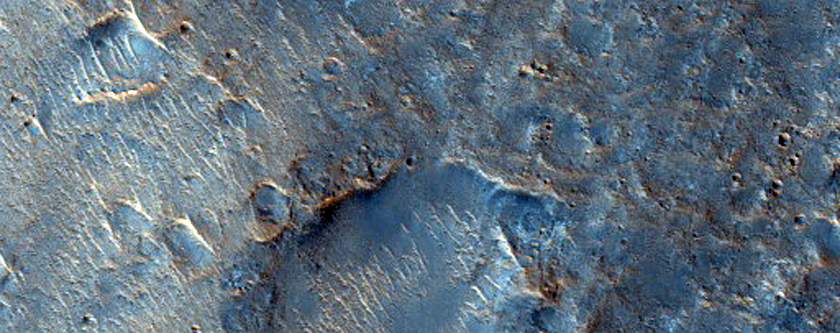 Possible Olivine-Rich Terrain from Impact on Herschel Crater Floor