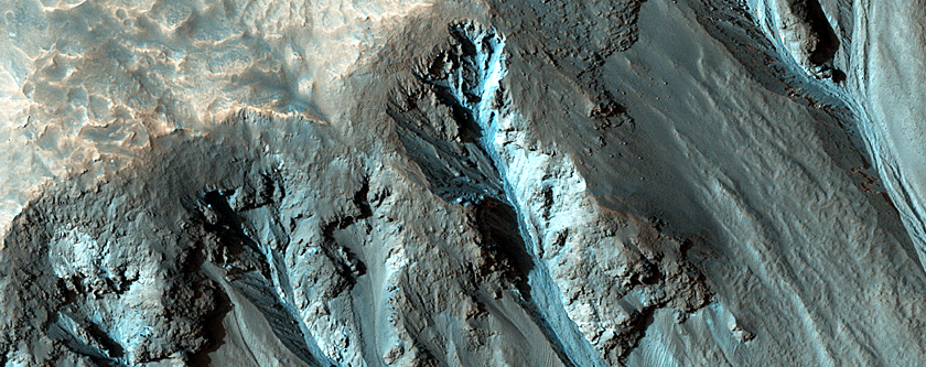 Bright Gully Deposits in Western Hale Crater