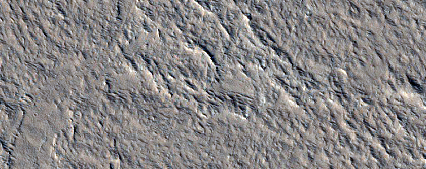 Strike-Slip Faults in Amazonis Planitia