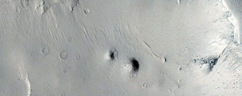 Enigmatic Pit in Southern Cerberus Palus