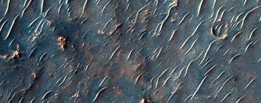 Phyllosilicate Tile Detection Northwest of Hellas Planitia